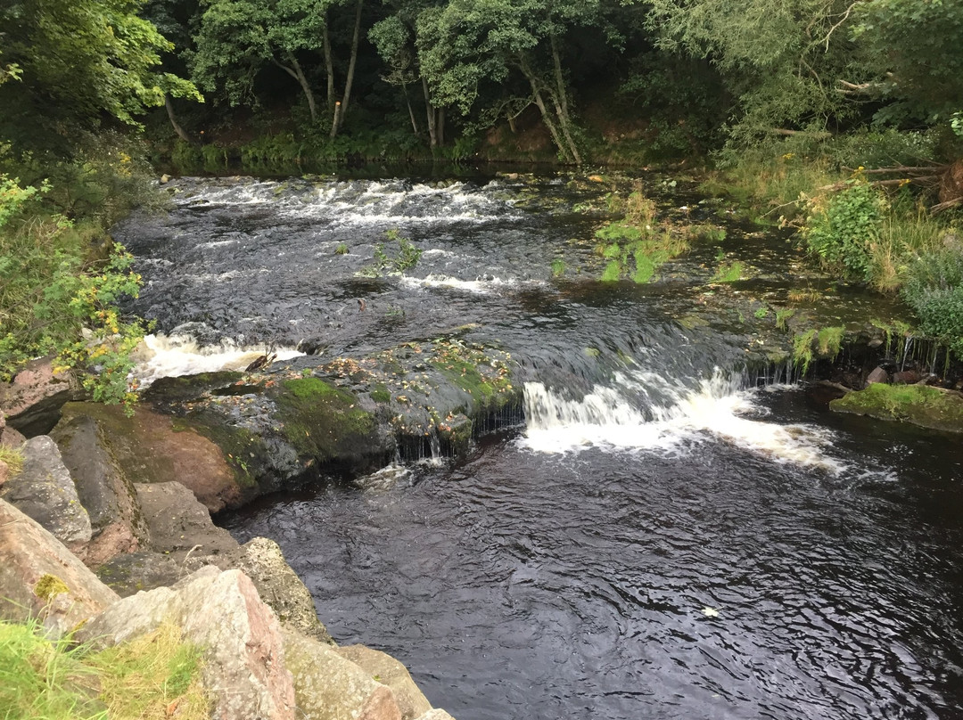 Mineralwell Park