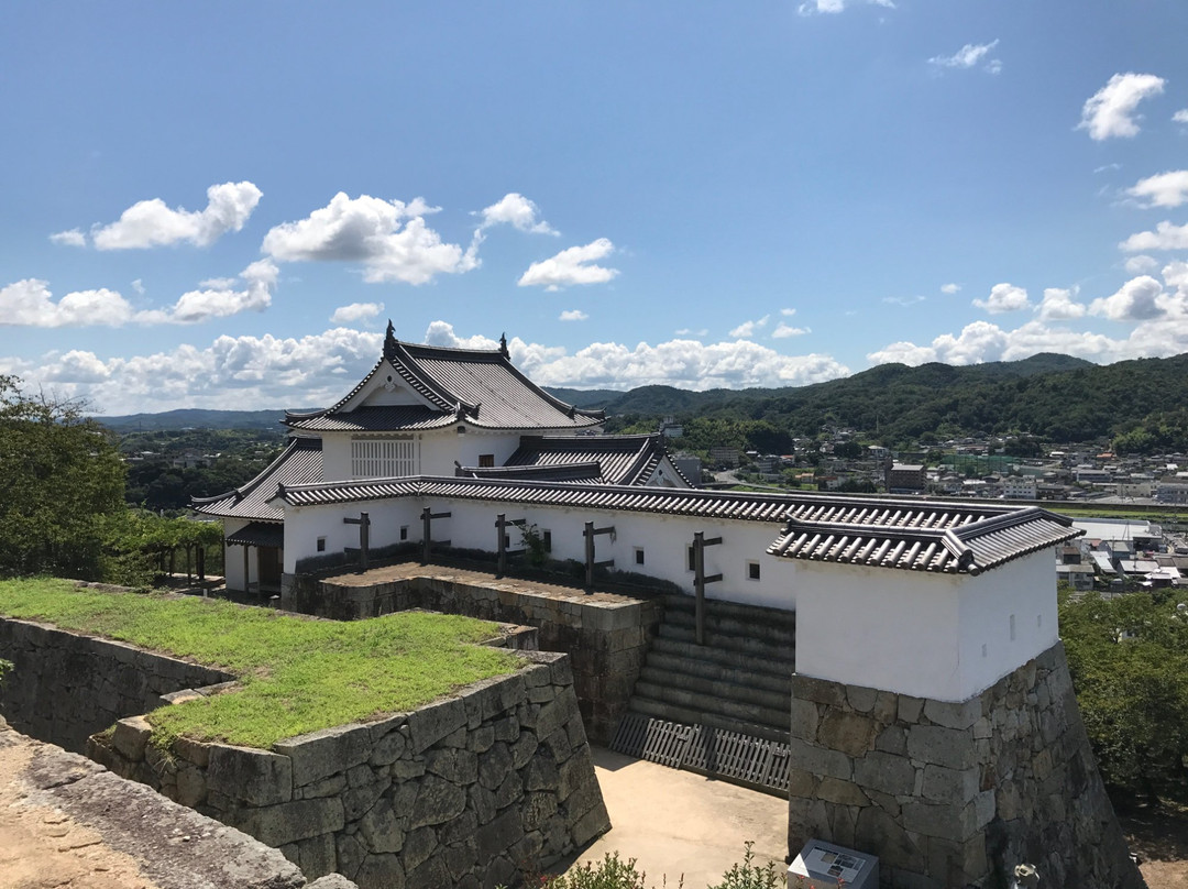 Tsuyama Castle (Kakuzan Park)-津山市必去景点