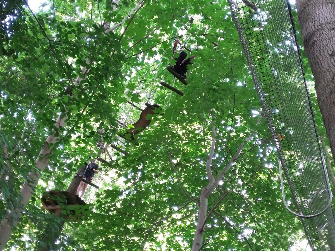 Funky Monkey Park-欧登塞必去景点