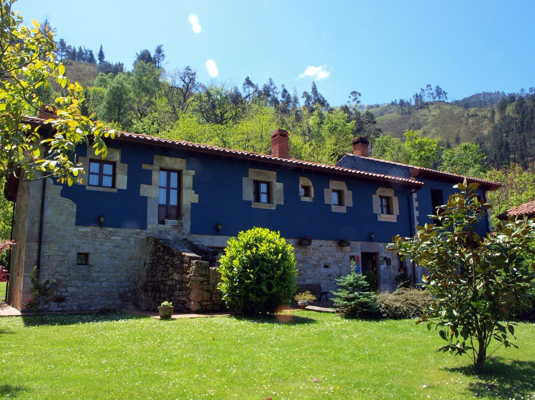 Bajo Los Tilos