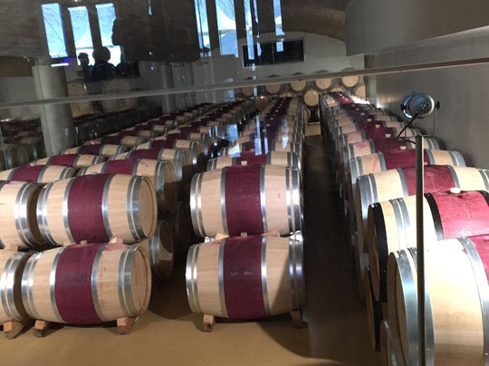 Womerus-斯泰伦博斯必去景点