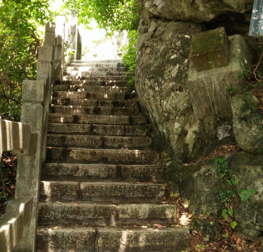 鱼峰公园-柳州市必去景点