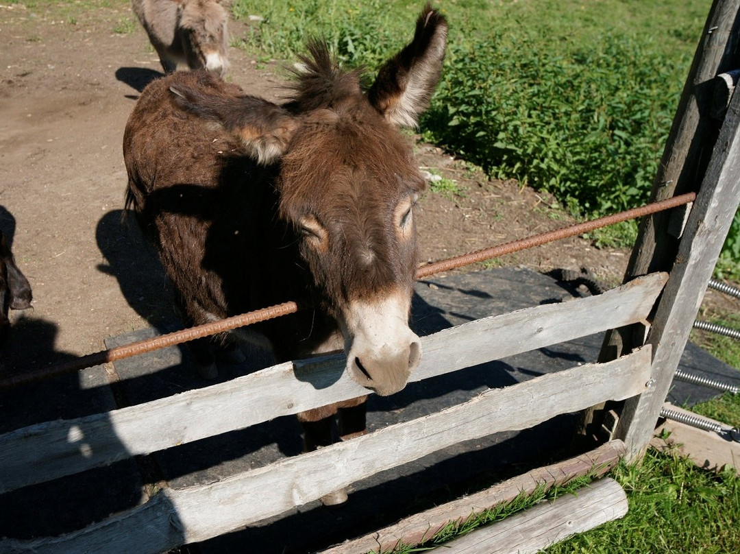 Red Barn Lodge主图