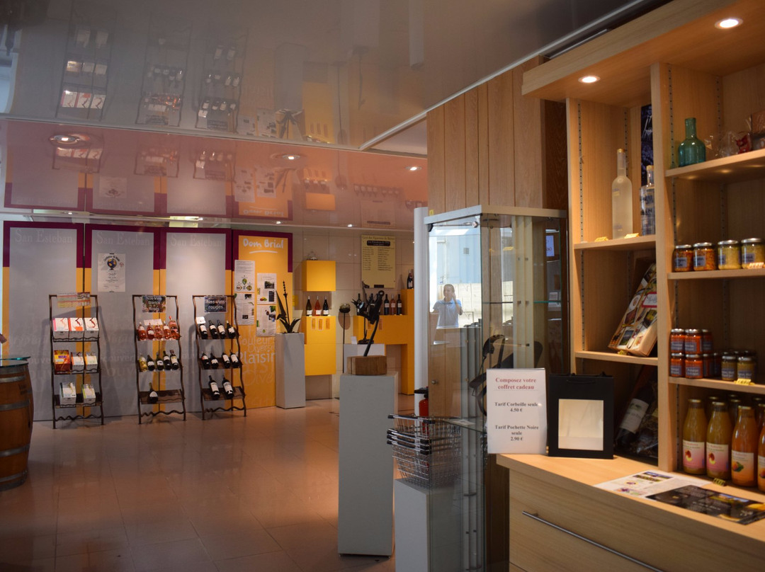Vignobles Dom Brial景点图片