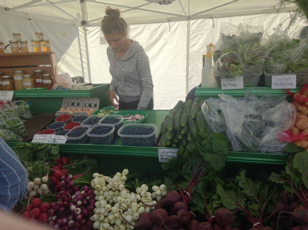 Tanana Valley Farmers Market景点图片