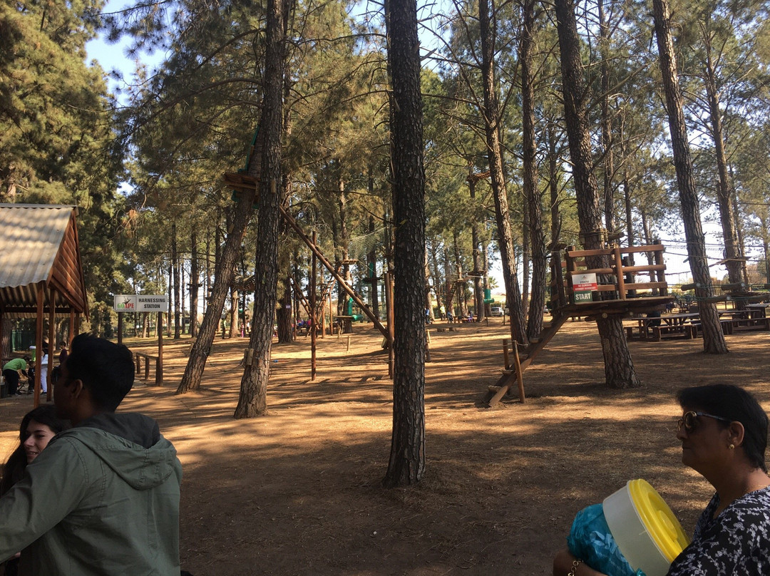 Go Ape South Africa景点图片