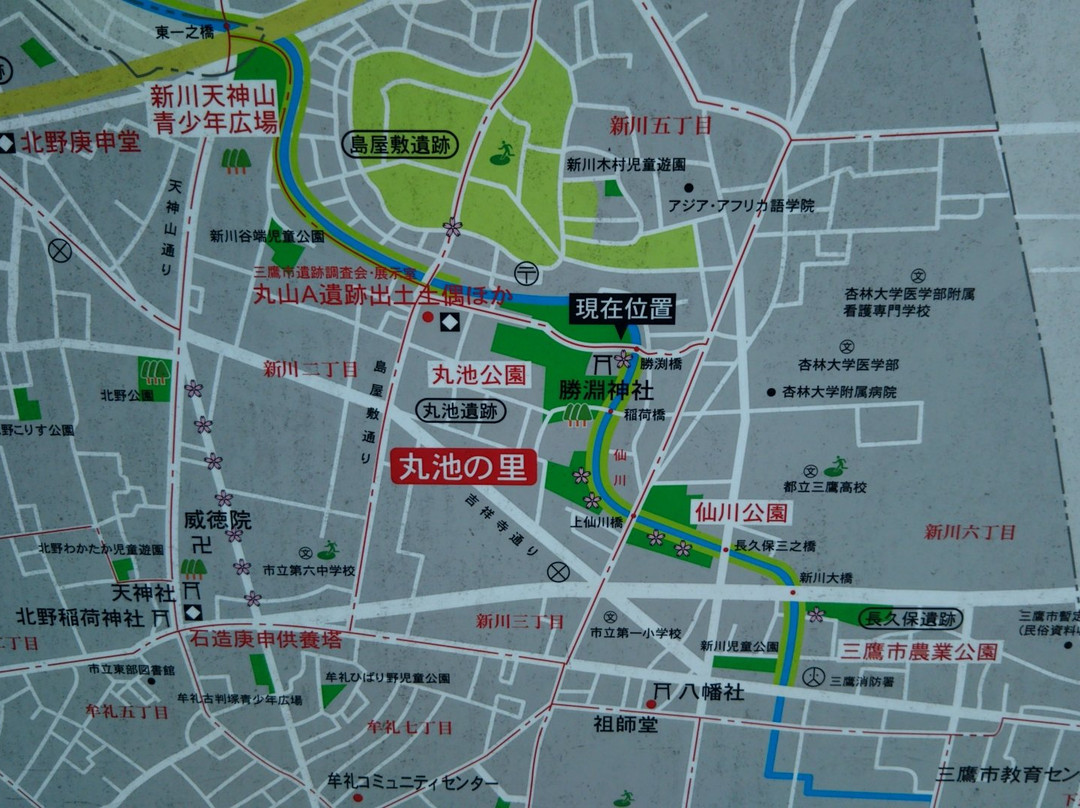 Maruike Park-三鹰市必去景点