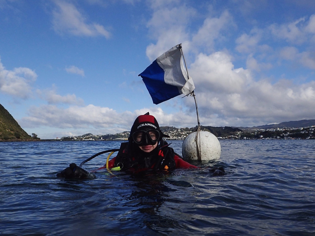 Dive HQ Wellington景点图片