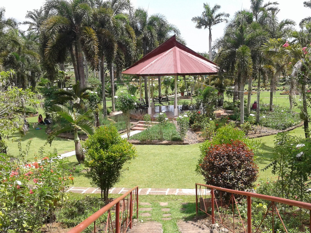 Sagay City Garden and Living Tree Museum-Sagay City必去景点