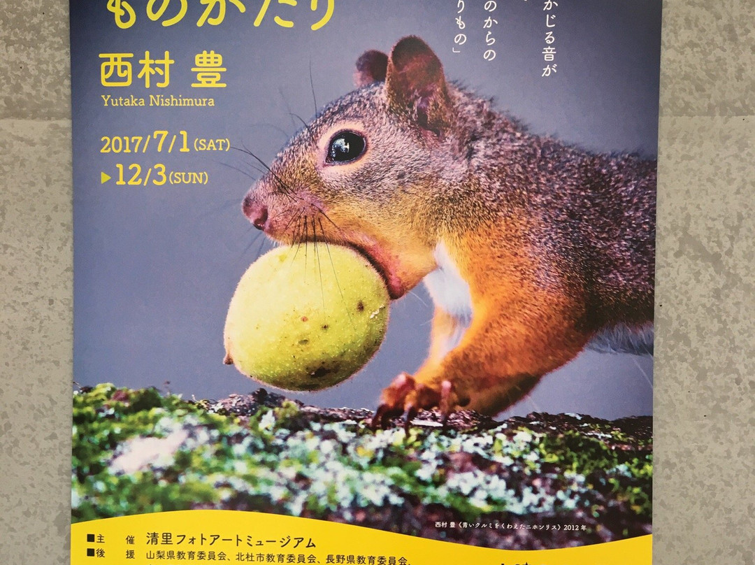 Kiyosato Museum of Photographic Arts-北斗市必去景点