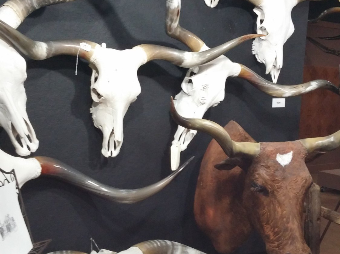 Butler Longhorn Museum-利格城必去景点