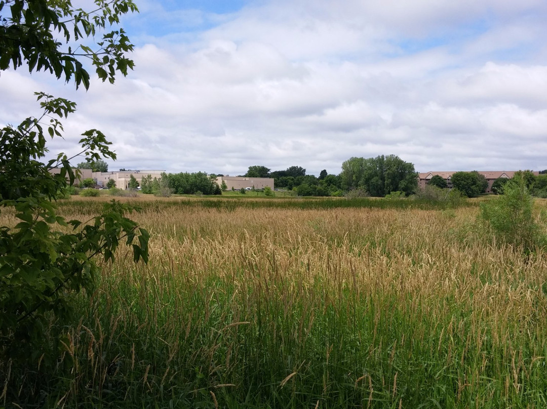 Millennium Garden-Plymouth必去景点