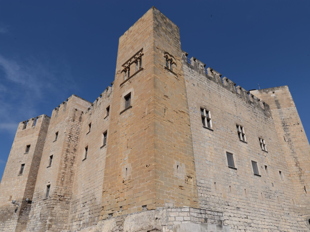 Castillo de Mequinenza景点图片
