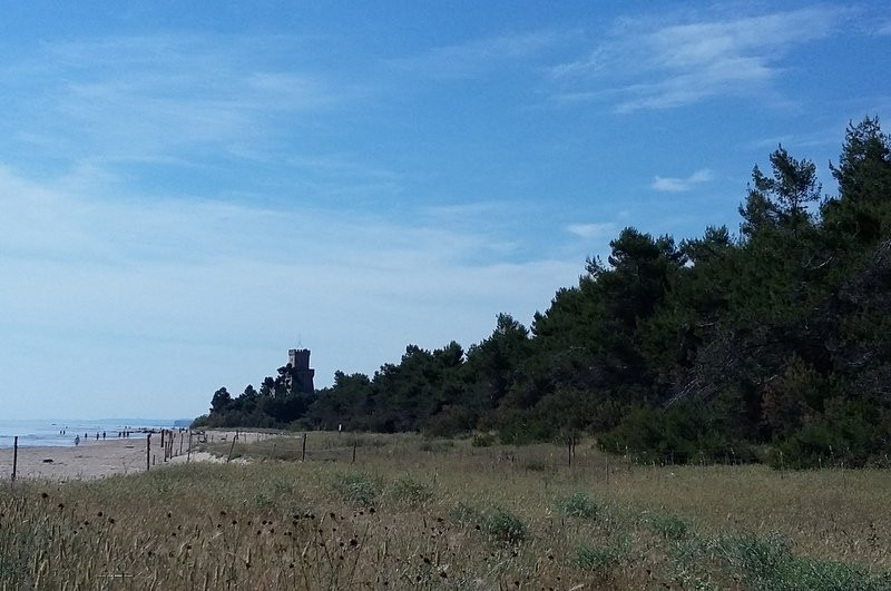 Pineto旅游景点-Pineta di Pineto