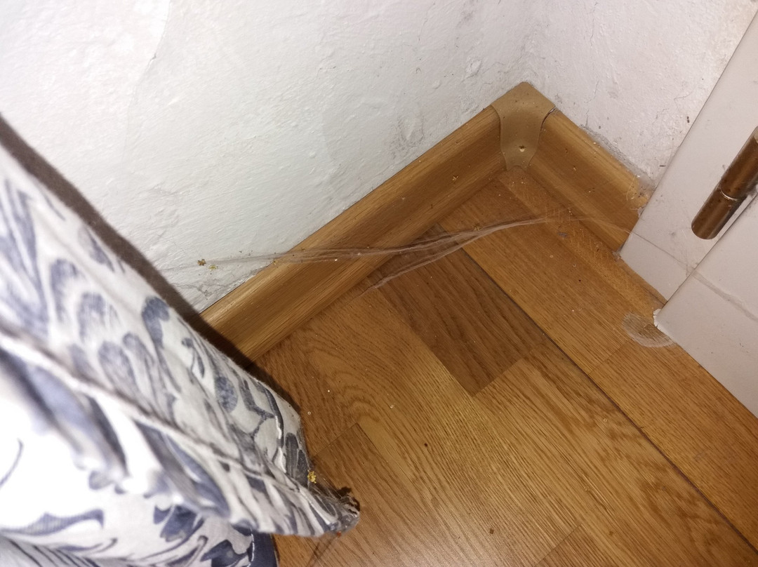 Steinmeister Gästehaus主图