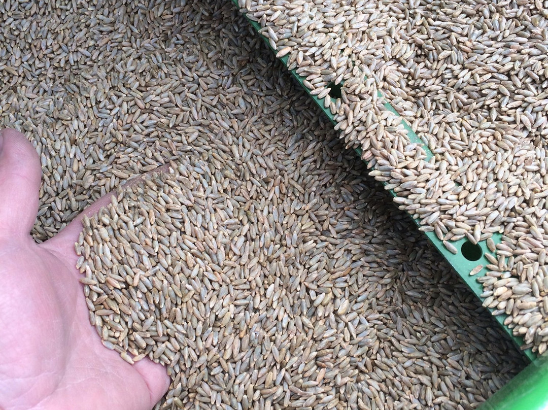 Mecca Grade Estate Malt & Tap Room-Madras必去景点