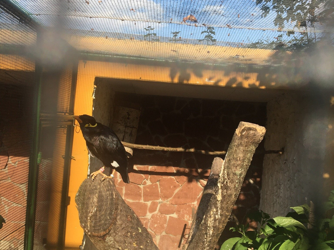 Vogelpark Bobenheim-Roxheim-Bobenheim-Roxheim必去景点