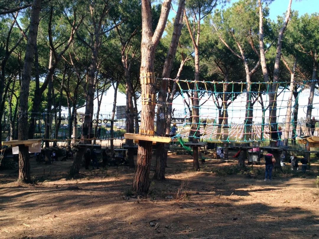 Parco Avventura Riva dei Tarquini景点图片