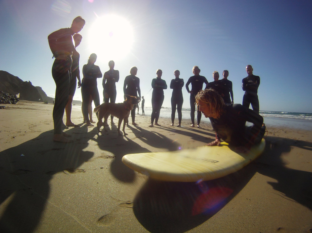 Nalusurf Surfschool景点图片
