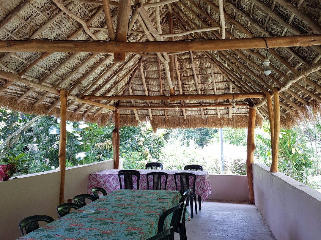 CAB EXPRESS Mr Carel Chambon-努美阿必去景点