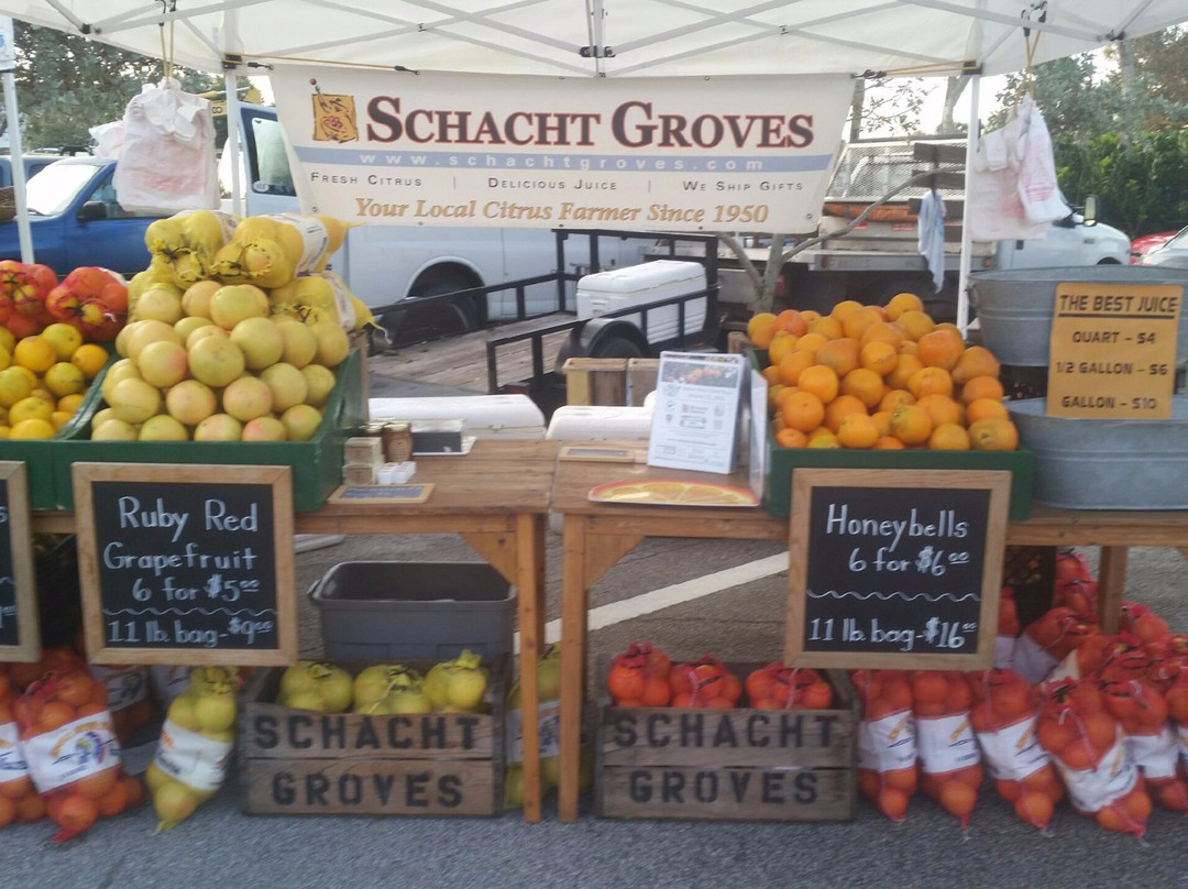 Schacht Groves-维罗海滩必去景点