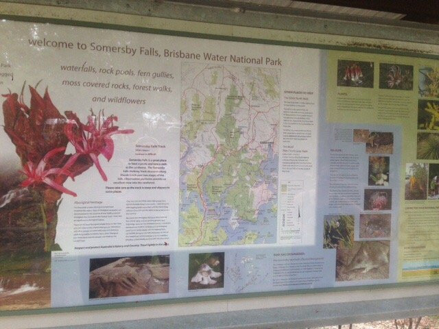 Staples Lookout-Woy Woy必去景点