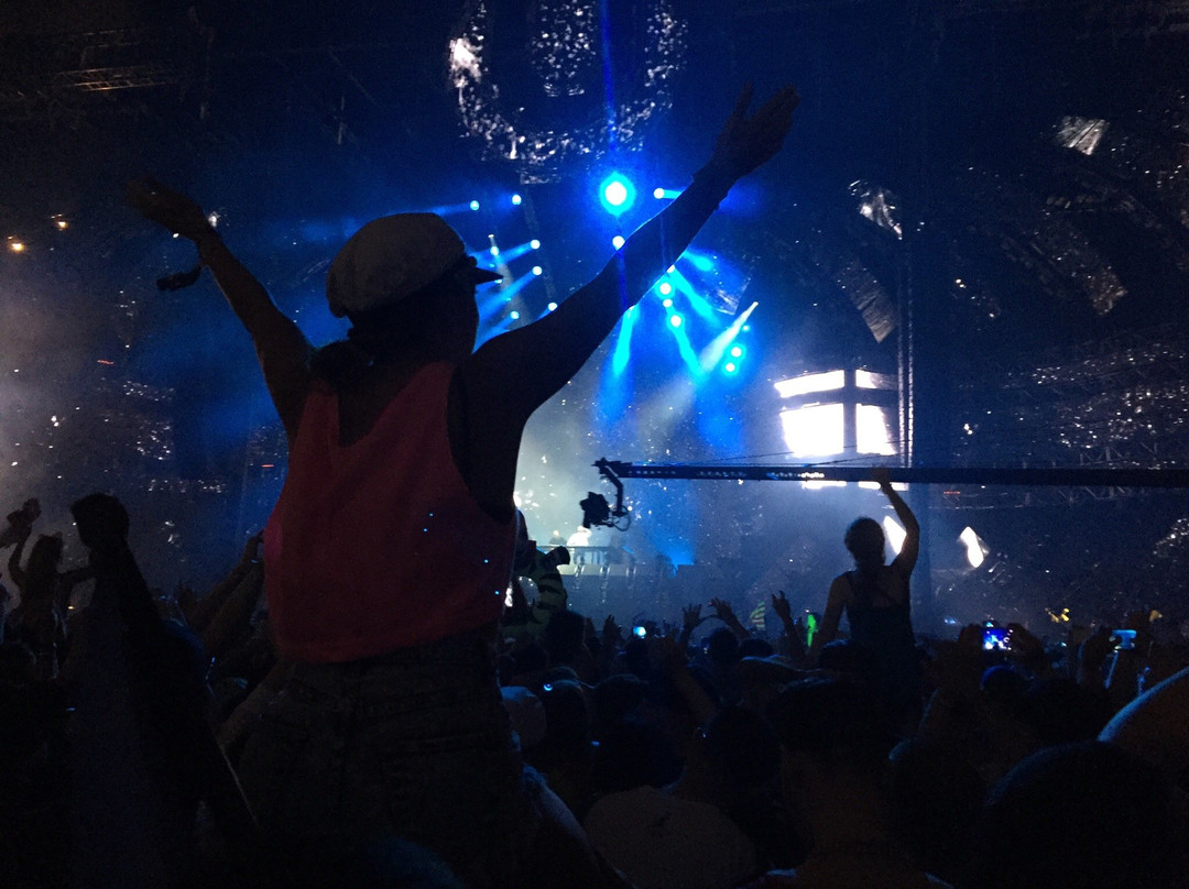 Ultra音乐节-迈阿密必去景点