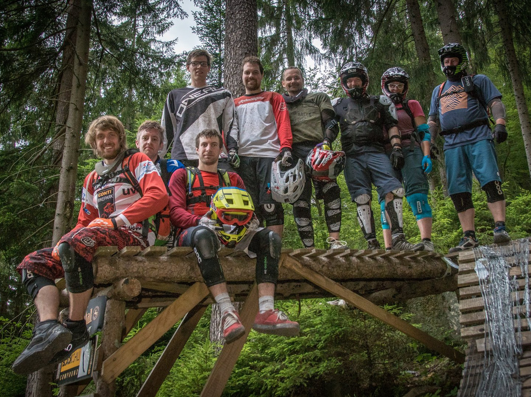 Bikepark Bad Wildbad景点图片