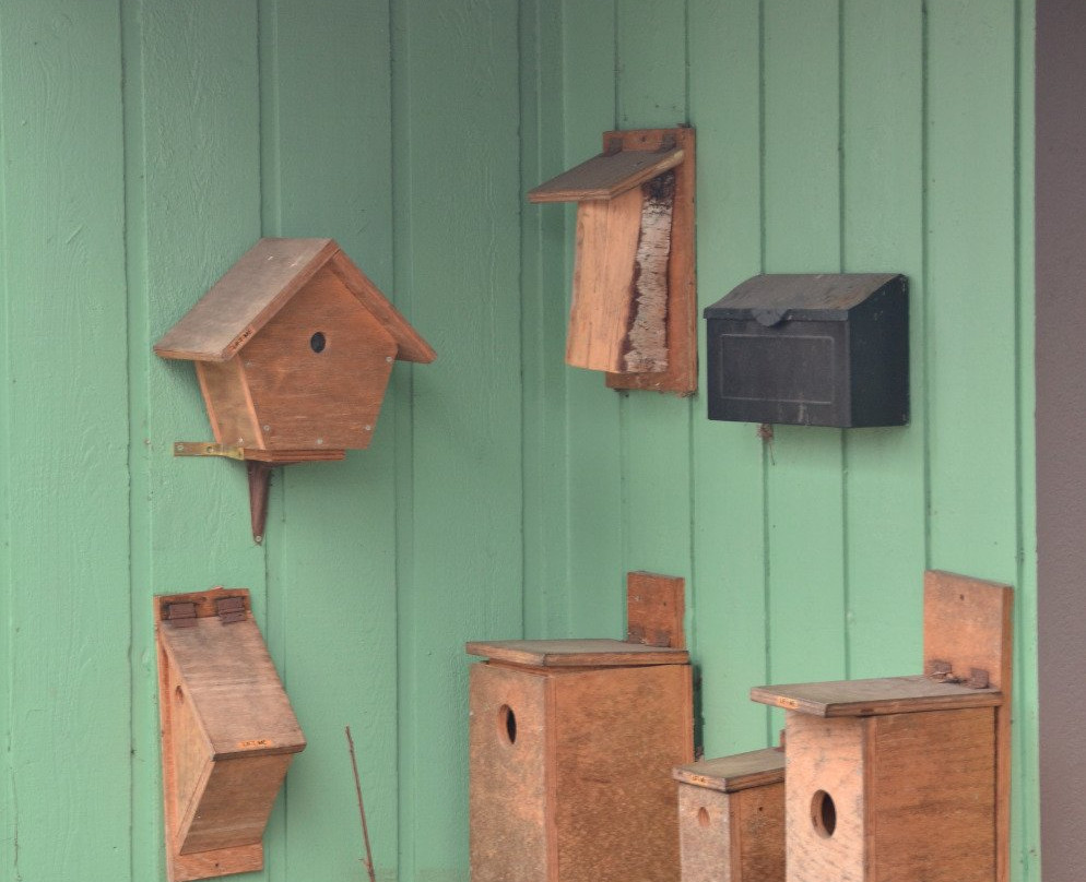 Wildwood Nature Center-Park Ridge必去景点