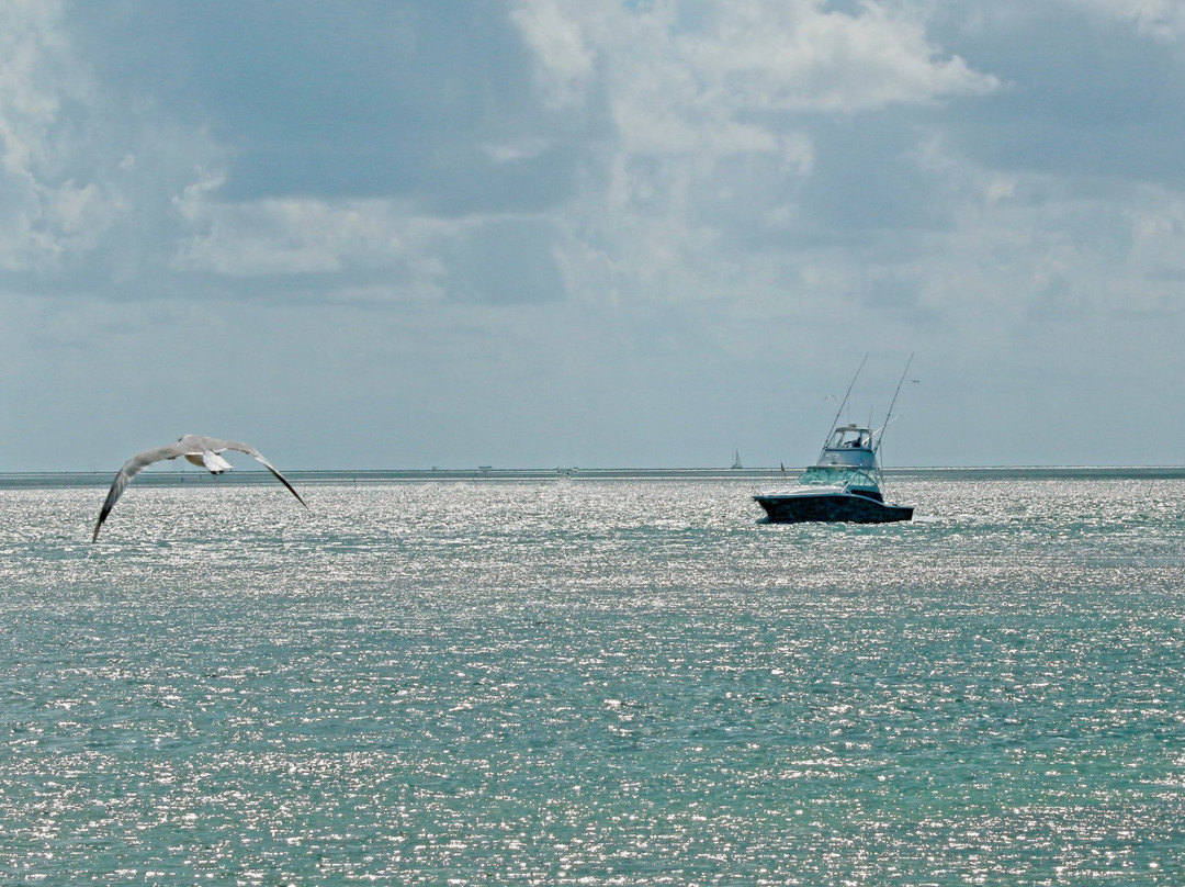 Miller Time Sport Fishing-伊斯拉摩拉达必去景点
