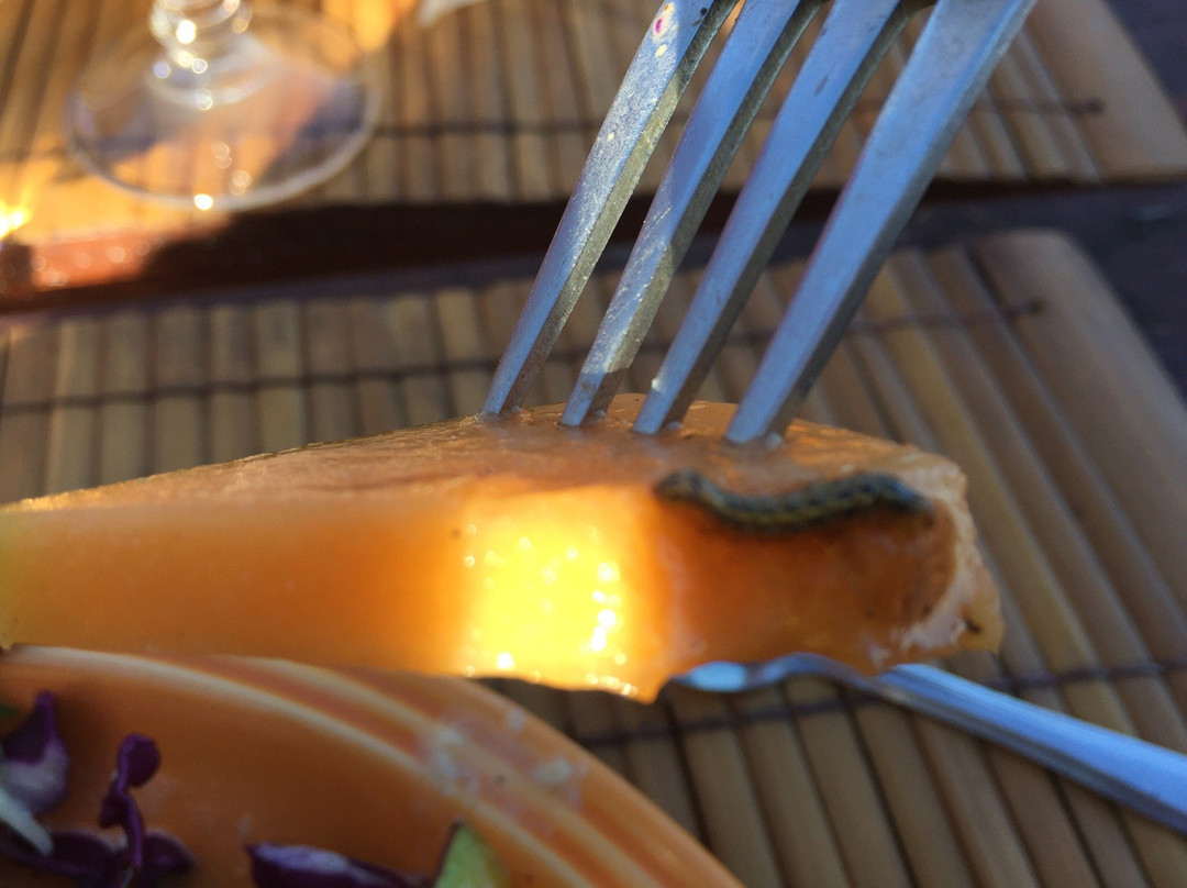 Le Touloulou Marie Galante-Marie-Galante必去景点