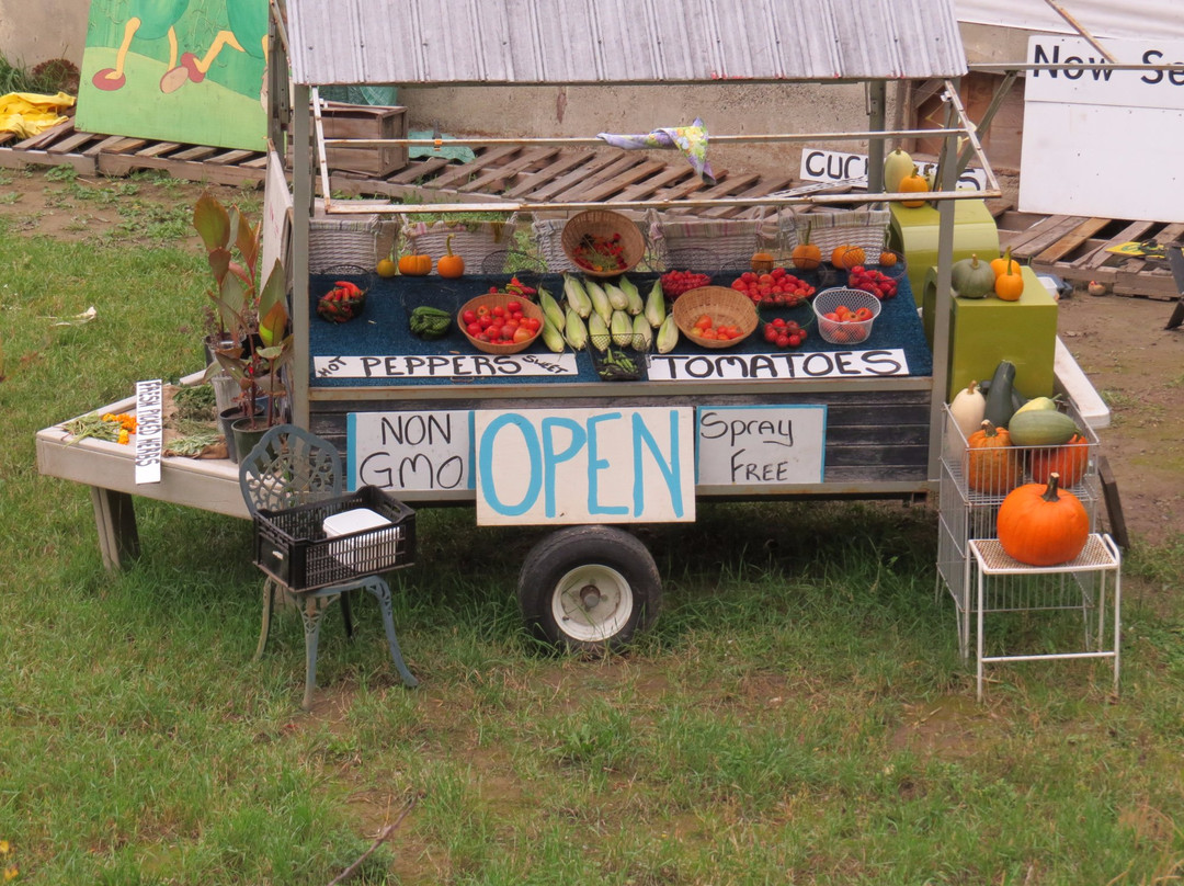 Labyrinth Farm-坎卢普斯必去景点