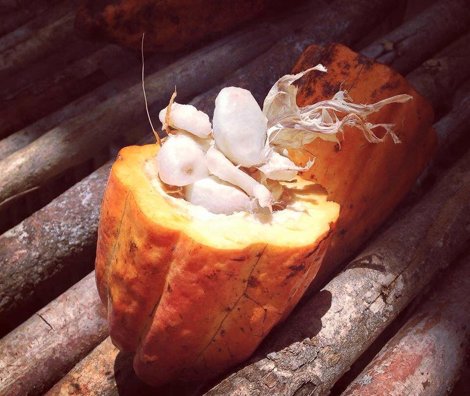 Hacienda Carvajal-Ciales必去景点