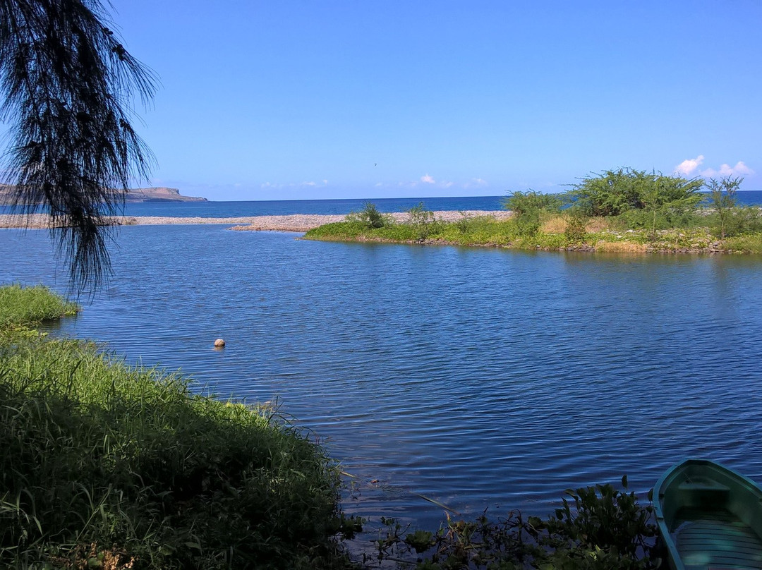 Etang de Saint-Paul - Réserve Naturelle et Site internationale Ramsar景点图片