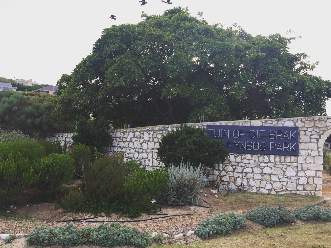 Tuin-op-die-Brak-斯特尔拜必去景点
