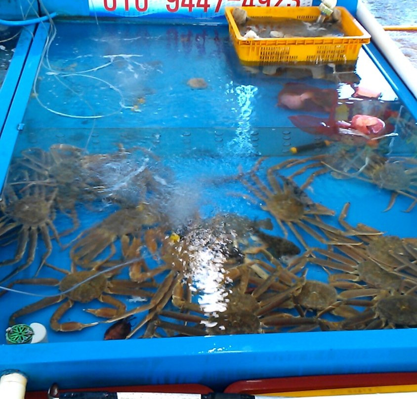 Donghae City Suhyup Seafood Distribution Center-东海市必去景点