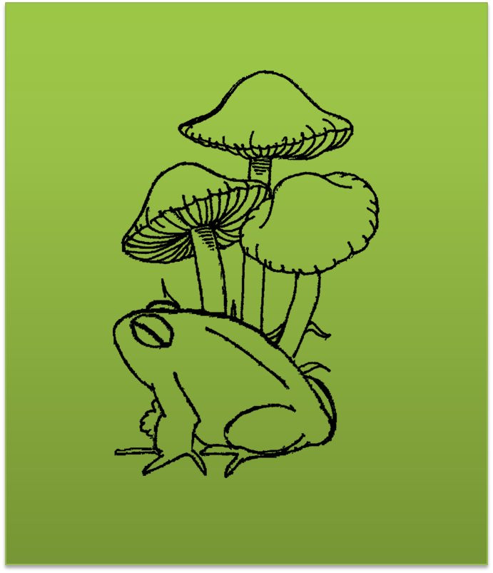 Tranquil Toad Massage-南乔丹必去景点