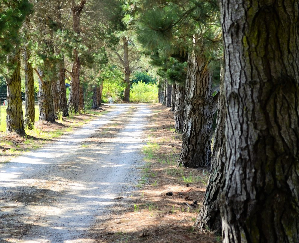 Sutton Forest Estate Wines-Sutton Forest必去景点