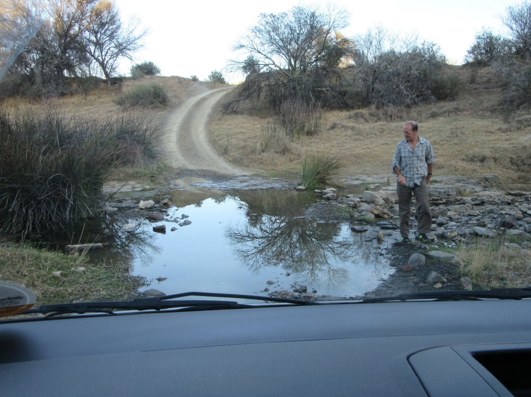 Cat Conservation Trust-Nxuba必去景点