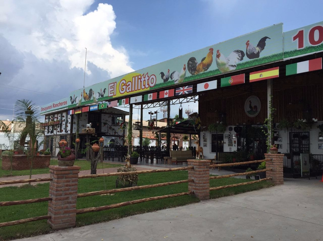 Culiacan餐馆和美食-El Gallito