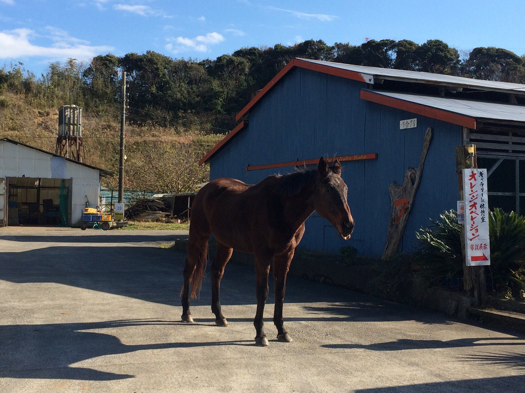 Keiran Ranch-御宿町必去景点
