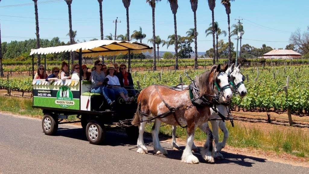 Swan Valley Wagon Tours景点图片