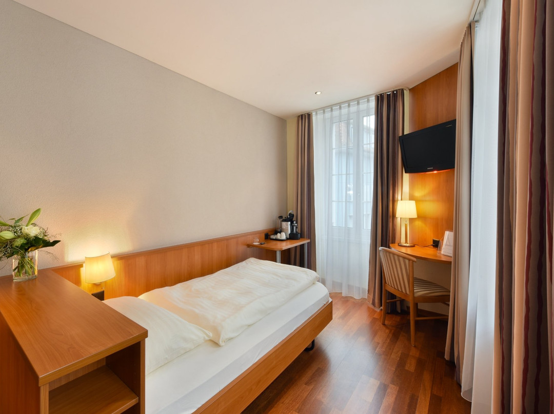 Hotel Amadeo主图