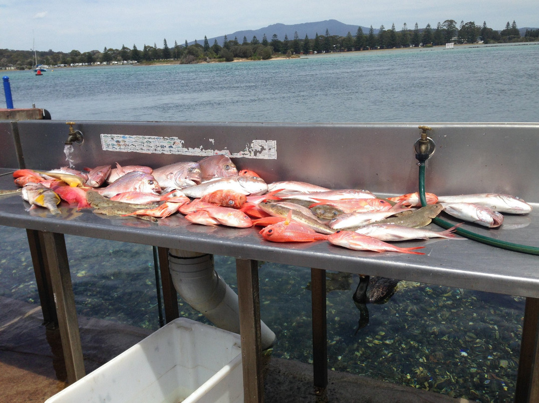 Narooma Fishing Charters景点图片