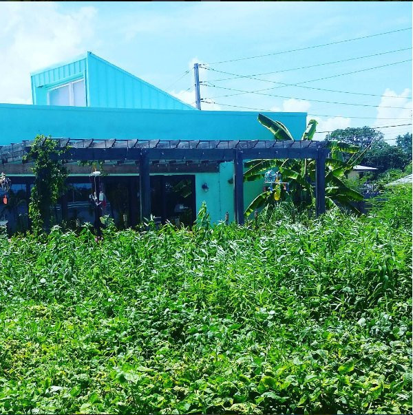 Ground Floor Farm-斯图尔特必去景点
