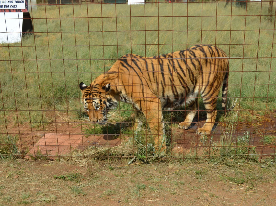 Jugomaro Predator Park-Groblersdal必去景点
