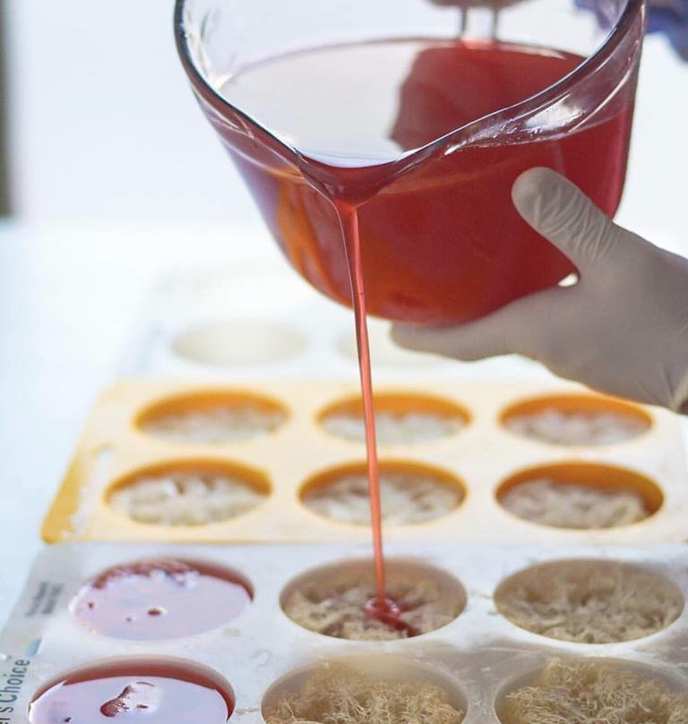 Sugar + Spruce Bath & Body-弗雷德里克斯堡必去景点