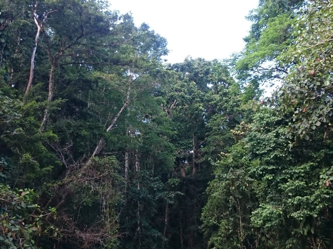 Kwaibala Waterfall-Auki必去景点