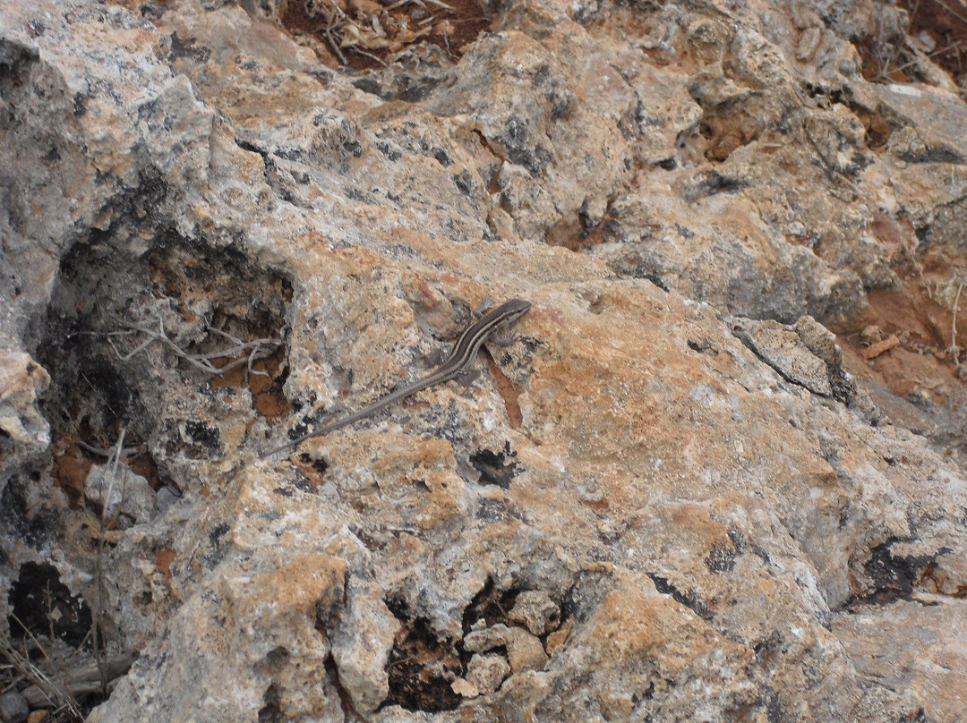 Smigies Nature Trail-城邦必去景点
