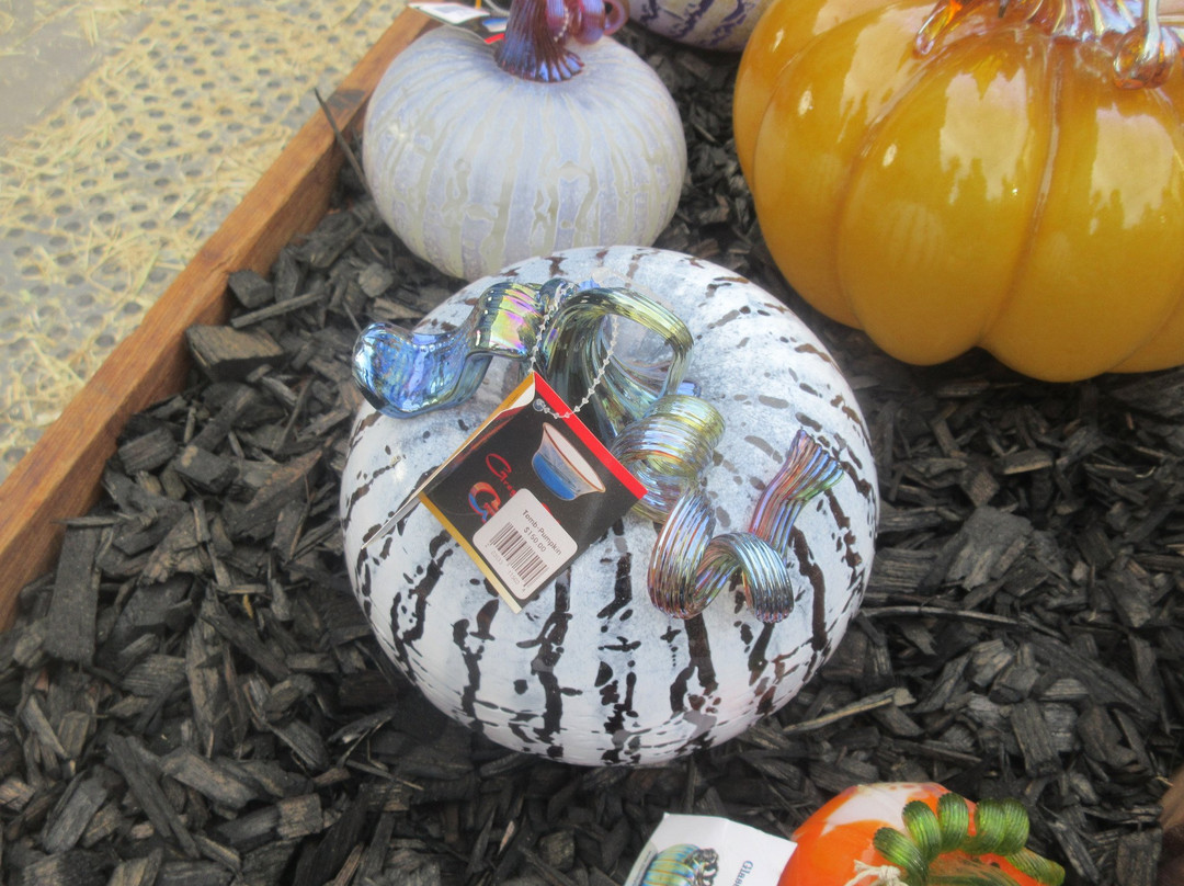 Bay Area Glass Institute-圣何塞必去景点